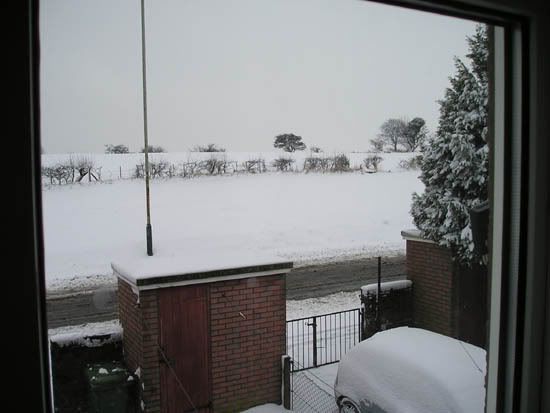 snow.jpg