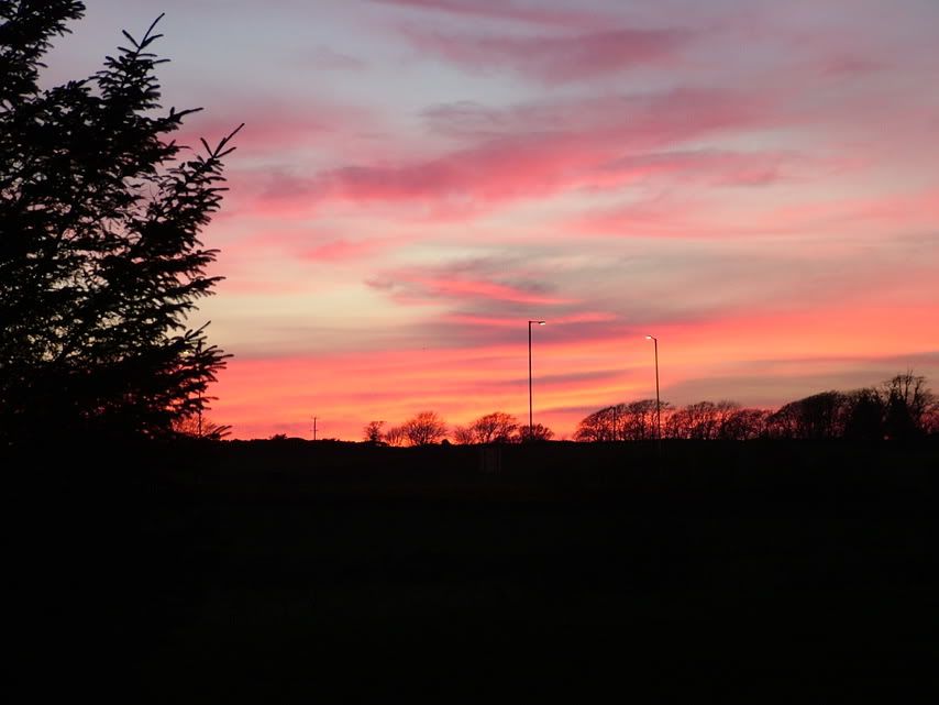 DSCF1398.jpg