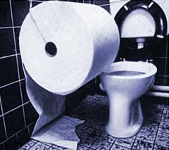 I wish I may I wish I might get some toilet paper so I can wipe