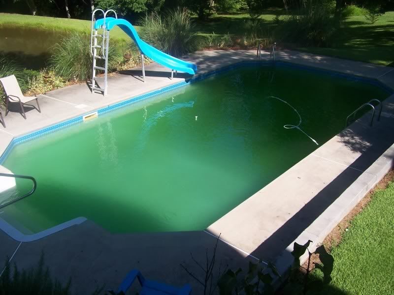 pooljuly2010.jpg