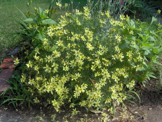 Image hosted by Photobucket.com