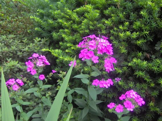 Image hosted by Photobucket.com