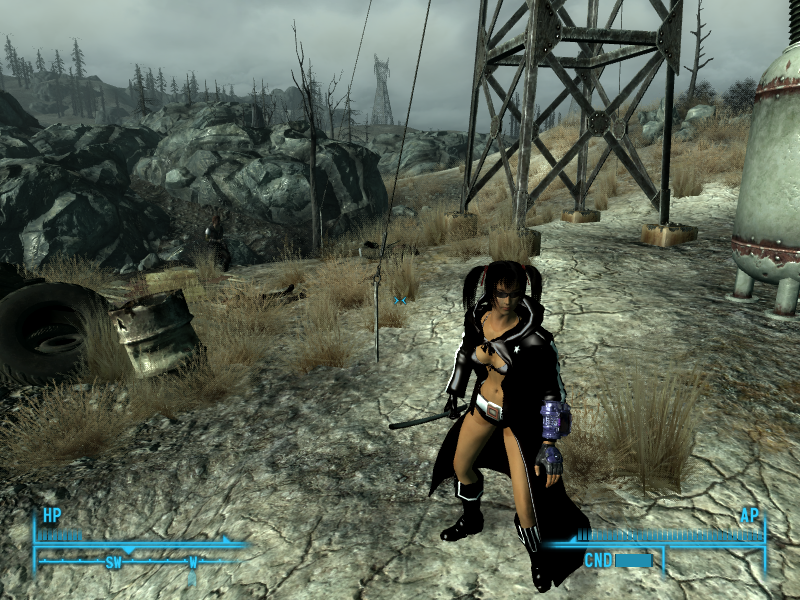 [Image: HeavilyModdedFallout3.png]