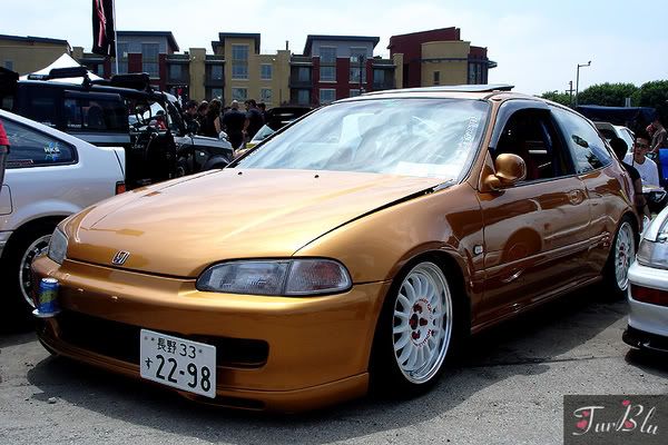 Orange Eg