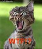 [Linked Image from i8.photobucket.com]