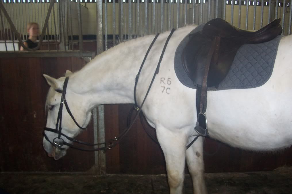 Novice 27 Dressage Test Pictures, Images & Photos Photobucket Novice 27 Dressage Test Pictures, Images & Photos Photobucket