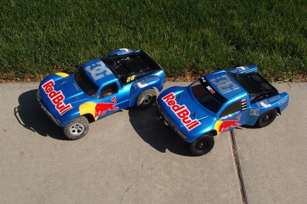 redbull rc car