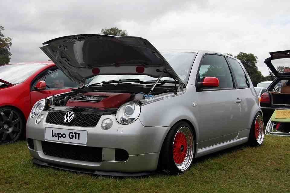 Welcome to'Fatttty's Lupo This is a fine example of a top Lupo