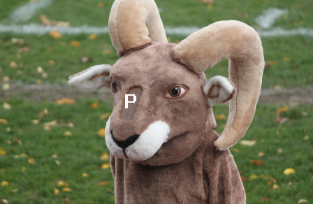 Untitled_zps76e6d2b5.png