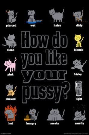 How Do You Like Your Pussy Poster 112