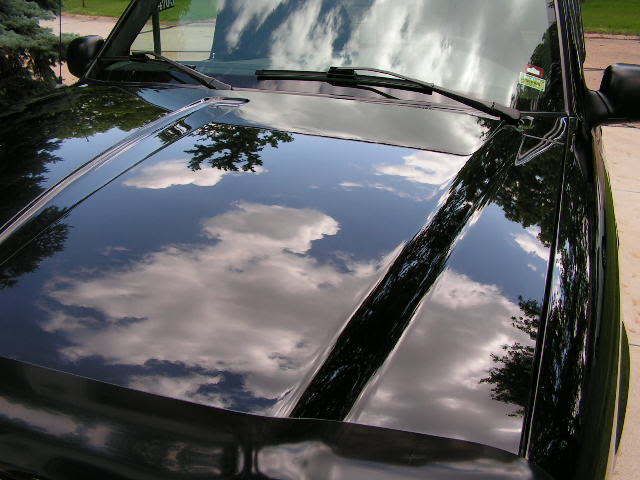 PICT0136.jpg