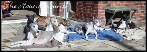 The Hound Lounge
