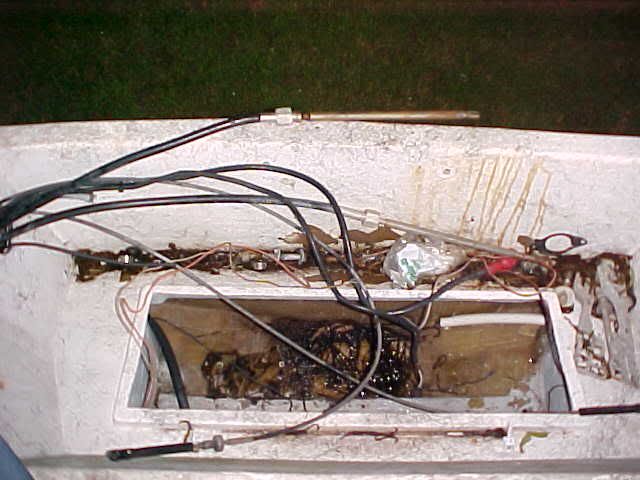 MVC-039S.jpg