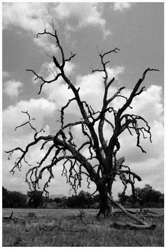 IMAGE: http://i8.photobucket.com/albums/a46/smurfsvt/IMG_4293small.jpg