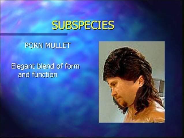 Page11.jpg