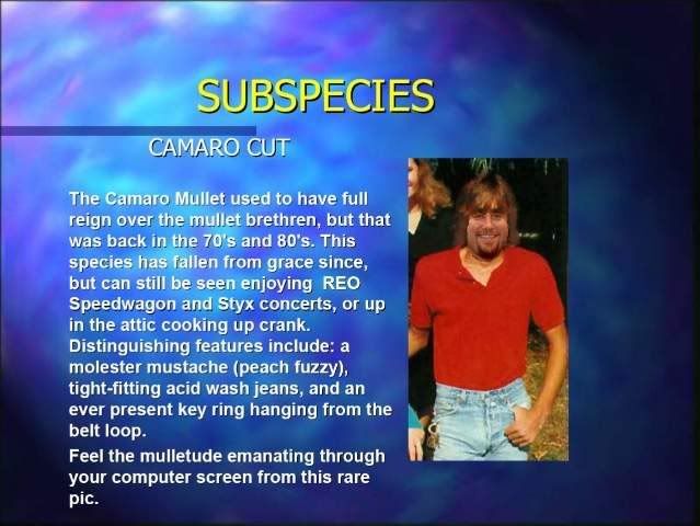 Page6-1.jpg