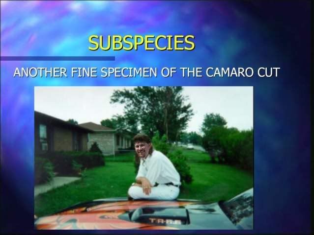 Page7-1.jpg