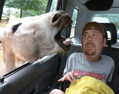 dantehorse-1.jpg