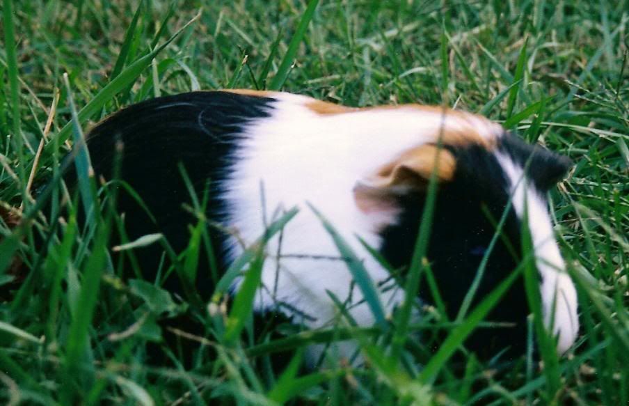 What's that black thing you got, Mommy?