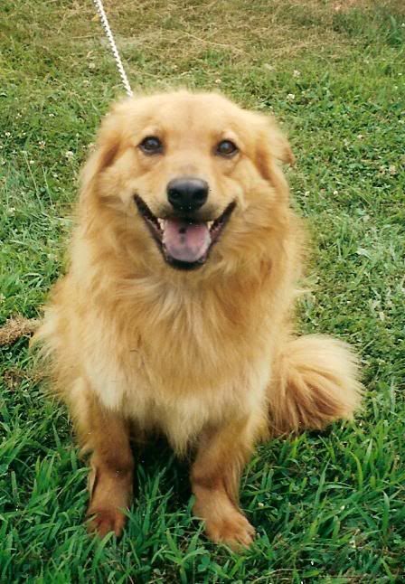 I want that Milkbone behind the camera!