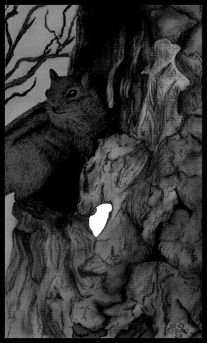 TreeofLife.gif Chipmunk image by WwendyW