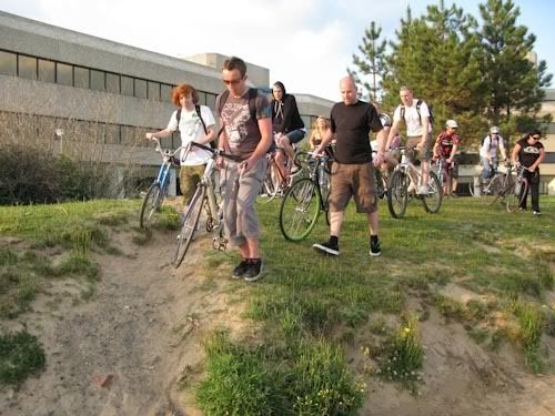 critical mass swansea wales