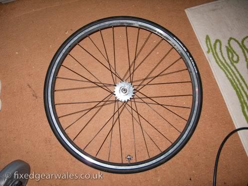 fixed gear fixie wheel build