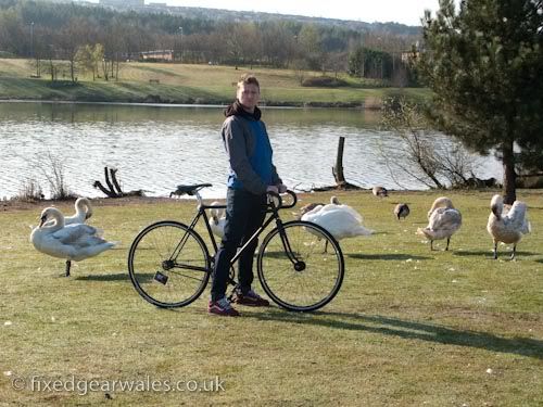 fixie fixed gear swans