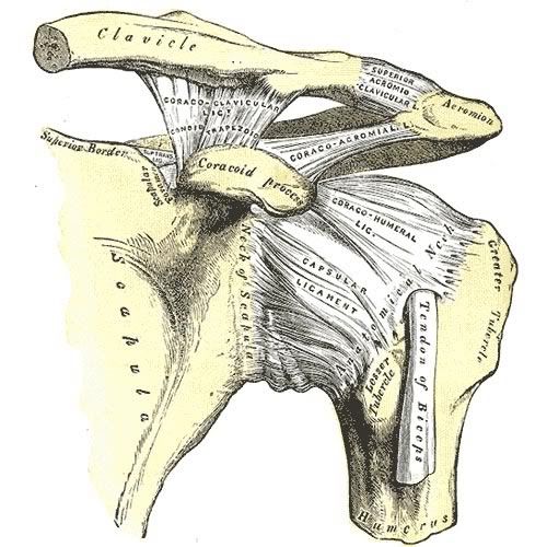 cycle injury clavicle broken collar bone