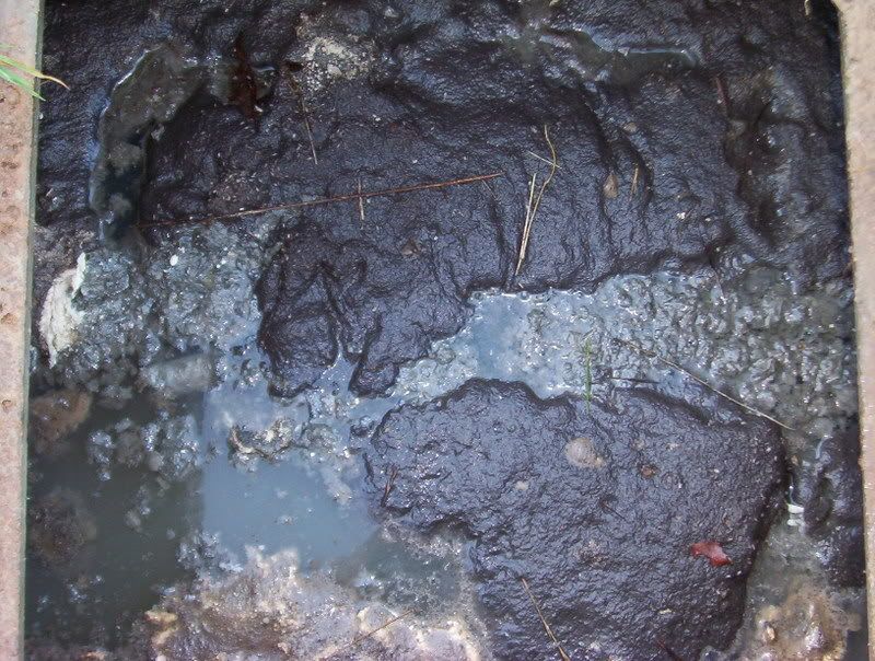 septic20tank20sludge.jpg