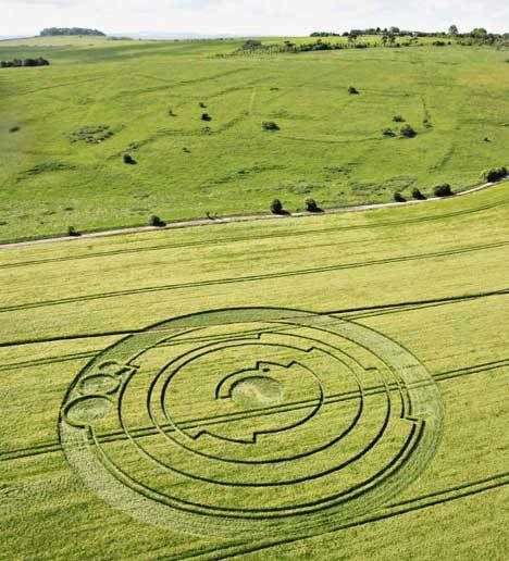 crop circles Pictures, Images and Photos