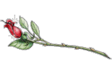 117684ygkpzfr3jr1.gif
