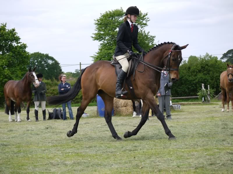 What to wear for best veteran classes? Panicking here! D