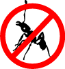 no ants Pictures, Images and Photos