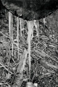 28A_0007.jpg