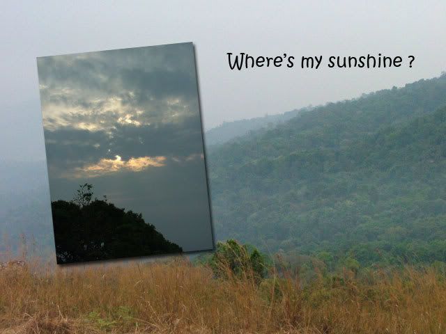 sunshine.jpg