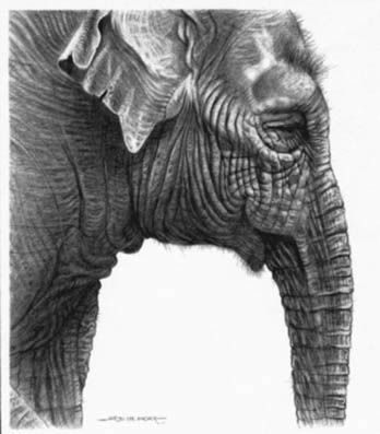 Elephant Head Painting