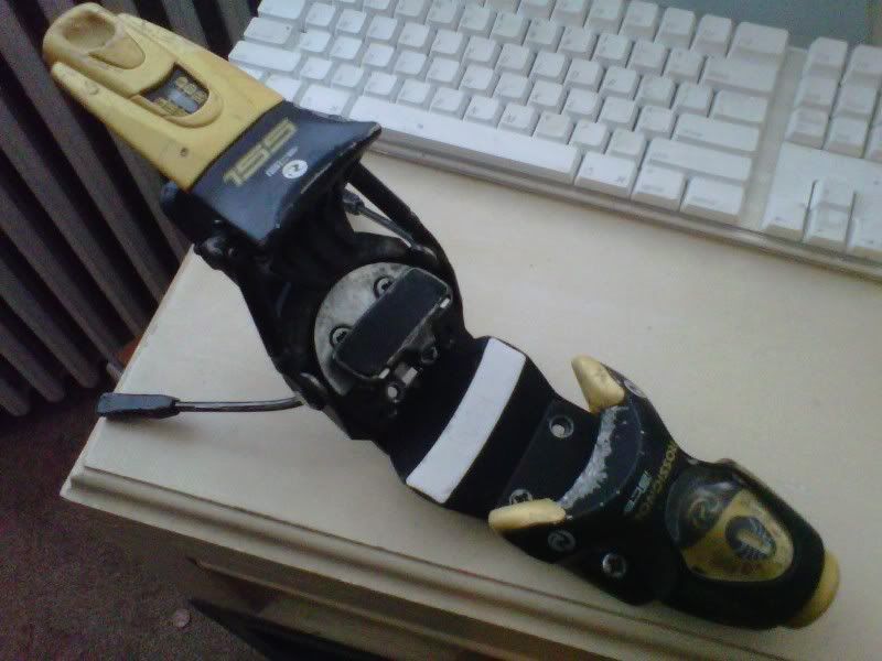 IMG00007-20101201-1114.jpg