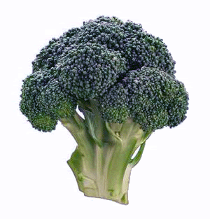 broccoli di cicco