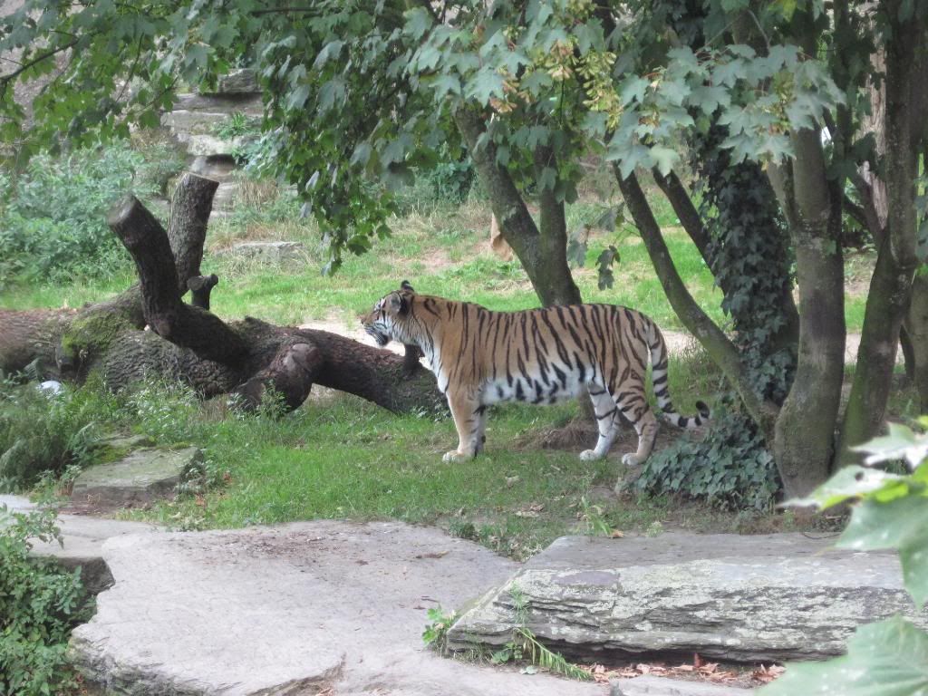 Koln Zoo