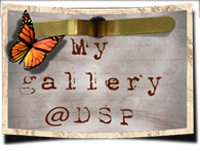 My gallery at DSP