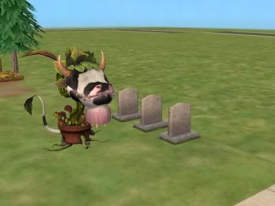 snapshot_6f76945d_effa8854.jpg
