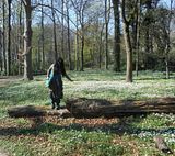 Bild