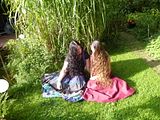 Bild
