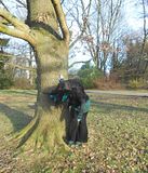 Bild