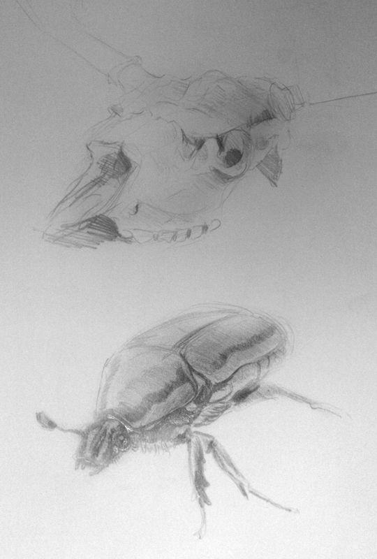 Bowandbrush´s sketchbook Bowandbrush´s sketchbook