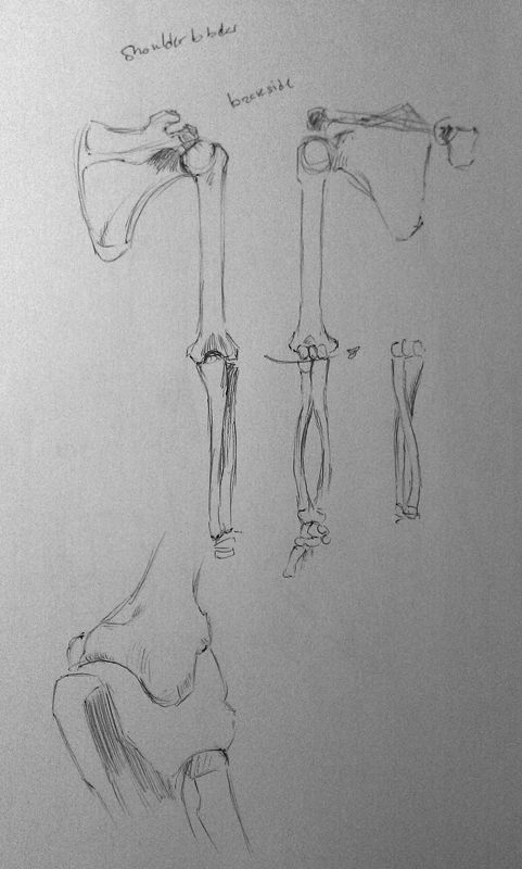 Bowandbrush´s sketchbook Bowandbrush´s sketchbook