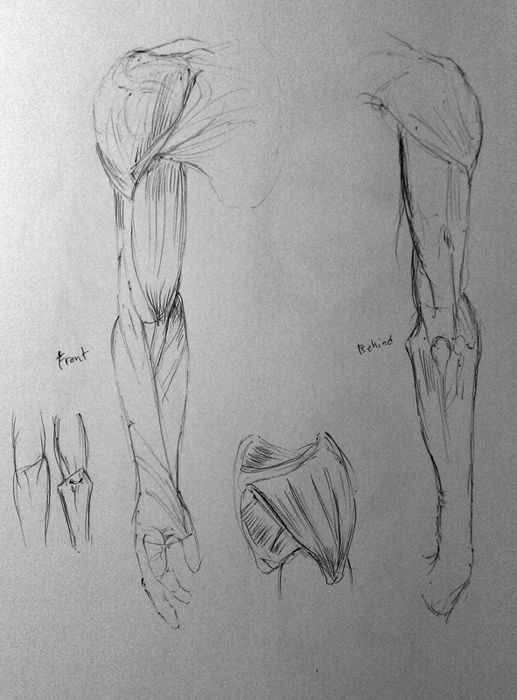 Bowandbrush´s sketchbook Bowandbrush´s sketchbook