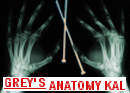 Grey’s Anatomy KAL