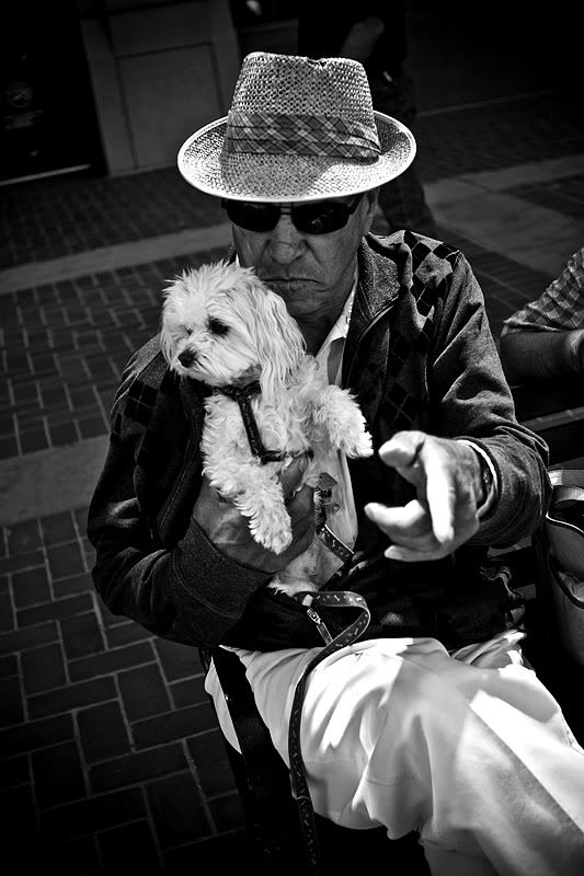 IMAGE: http://i8.photobucket.com/albums/a9/scarface1980/dudedog.jpg